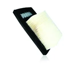 Filtro aire bs-50-2,60-2,70-2 bs-60-4 bs-50-4  - meds 168 x 97 x 53 mm