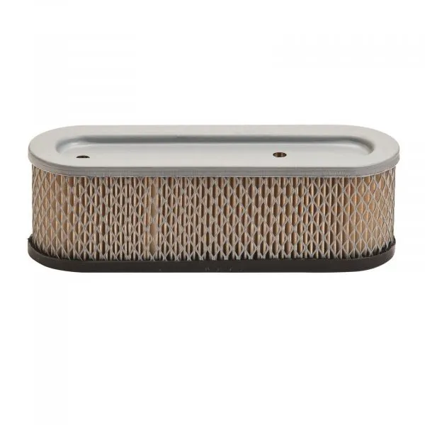 Filtro aire briggs  10-12 hp, vertical, 220 x 67 x 68 mm