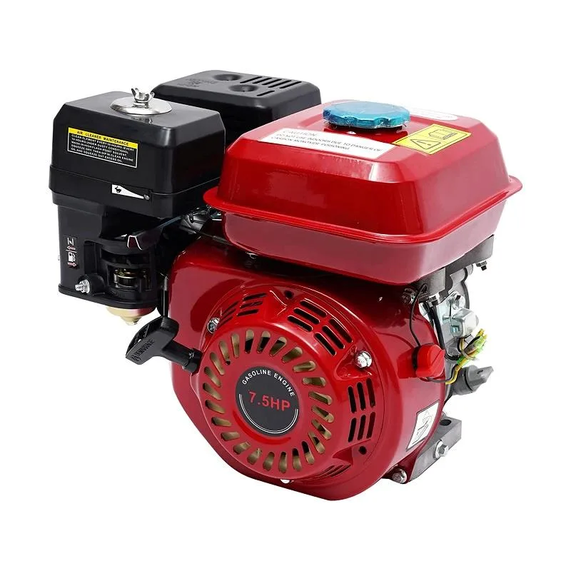 Motor 7 cv